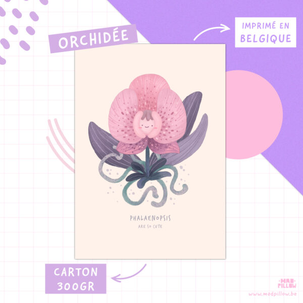 Carte A5 - A6 / orchidée – Image 3